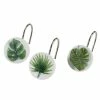 Flash Sale 🌟 Avanti Linens Viva Palm Shower Hooks - Green 💯